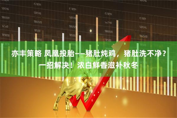亦丰策略 凤凰投胎——猪肚炖鸡，猪肚洗不净？一招解决！浓白鲜香滋补秋冬