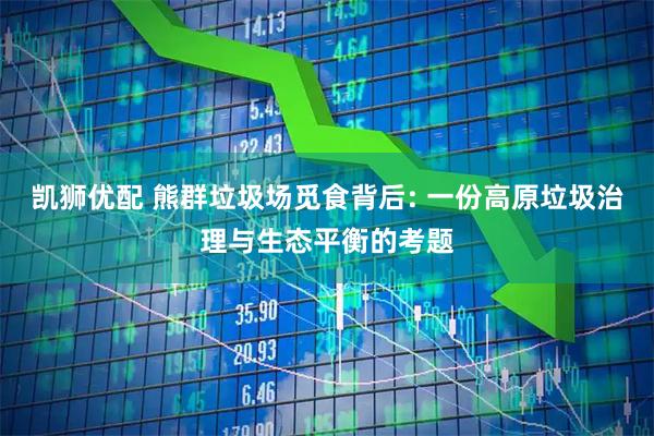 凯狮优配 熊群垃圾场觅食背后: 一份高原垃圾治理与生态平衡的考题