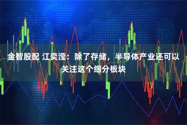 金智股配 江奕滢：除了存储，半导体产业还可以关注这个细分板块