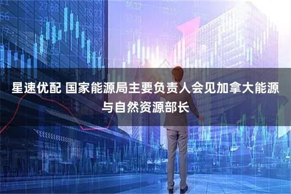 星速优配 国家能源局主要负责人会见加拿大能源与自然资源部长