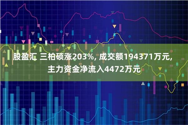 股盈汇 三柏硕涨203%, 成交额194371万元, 主力资金净流入4472万元