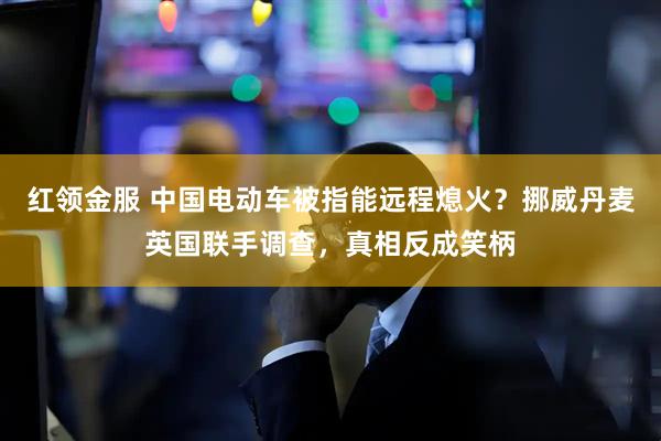 红领金服 中国电动车被指能远程熄火？挪威丹麦英国联手调查，真相反成笑柄