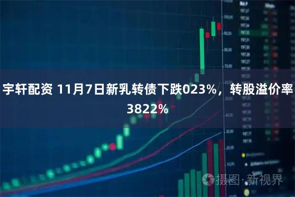 宇轩配资 11月7日新乳转债下跌023%，转股溢价率3822%