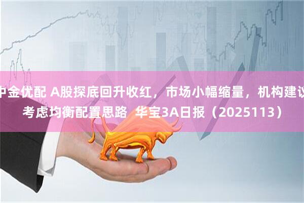 中金优配 A股探底回升收红，市场小幅缩量，机构建议考虑均衡配置思路  华宝3A日报（2025113）