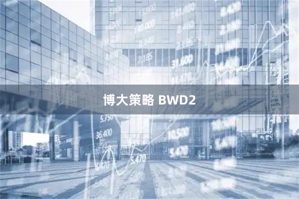 博大策略 BWD2