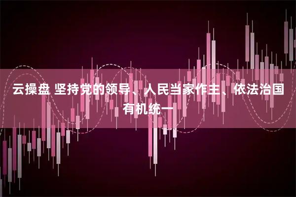 云操盘 坚持党的领导、人民当家作主、依法治国有机统一